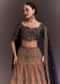 Ombre Zari Embroidered Lehenga Set