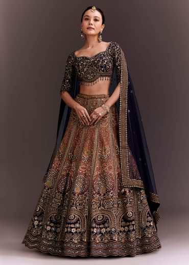 Ombre Zari Embroidered Lehenga Set