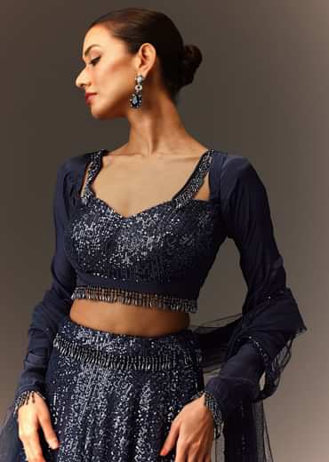 Navy Blue Tie Up Blouse And Embroidered Lehenga With Detailed Border Dupatta