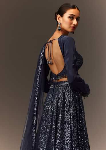 Navy Blue Tie Up Blouse And Embroidered Lehenga With Detailed Border Dupatta