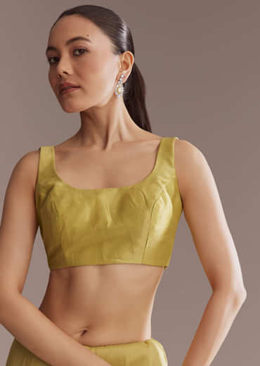 Ochre Yellow Tissue Saree With Zardosi And Stone Embroidery