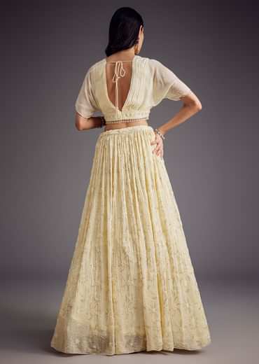 Off White Embroidered Pleated Skirt With Sheer Layered Croptop