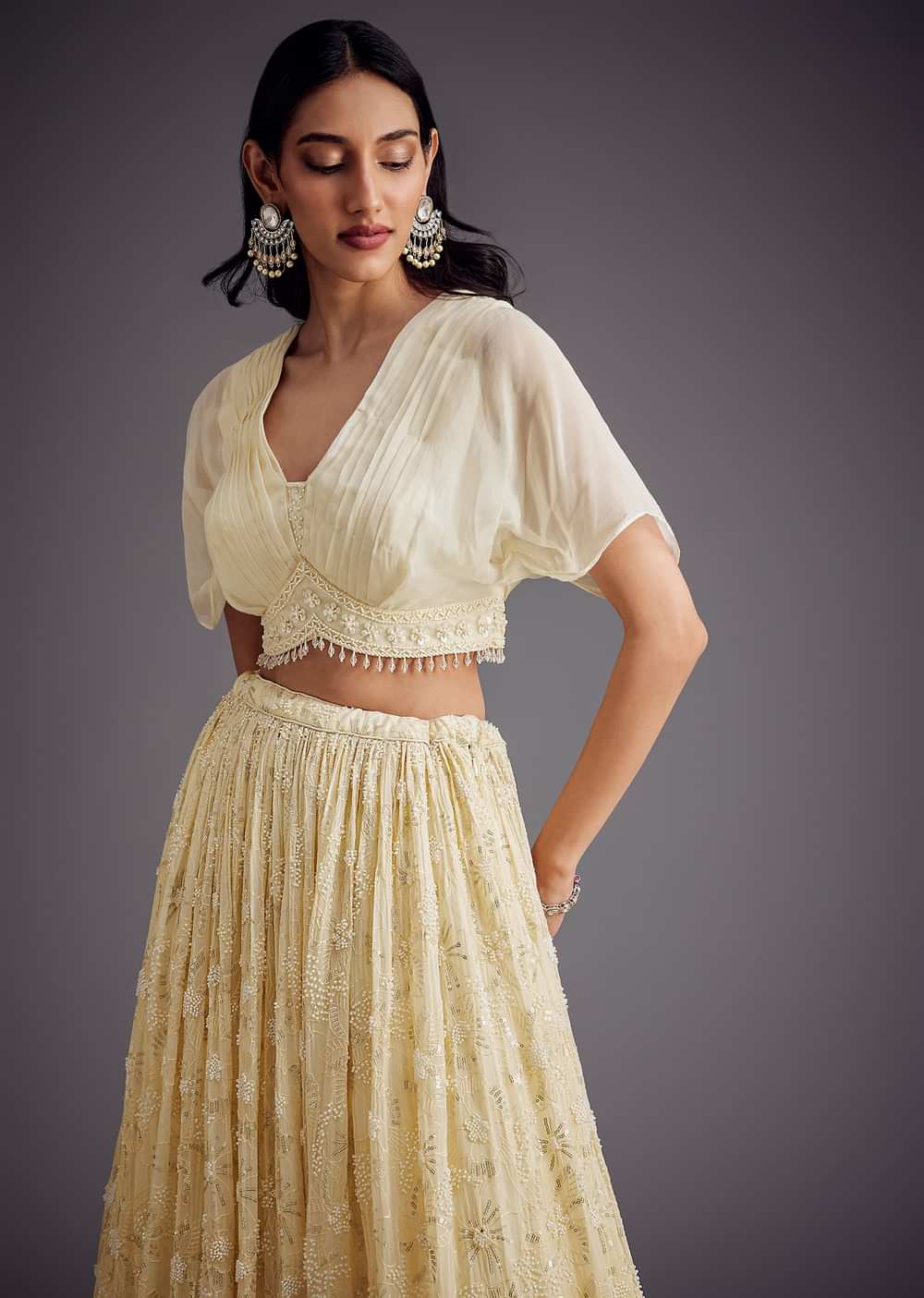 Off White Embroidered Pleated Skirt With Sheer Layered Croptop
