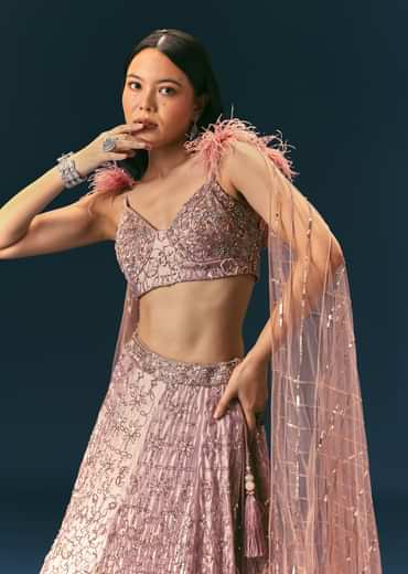 Onion Organza Lehenga And Blouse Set With Choker Dupatta