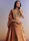 Orange Banarasi Lehenga With Embroidered Choli And Dupatta