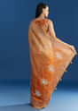 Orange Organza Tissue Saree With Zari Brocade Border