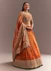 Orange Tissue Butti Embroidered Lehenga Choli And Woven Dupatta