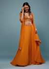 Carrot Orange Embroidered Lehenga Set In Organza