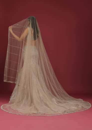 Organza Oyster Mermaid Lehenga With A Stone Motif Veil And Crop Top