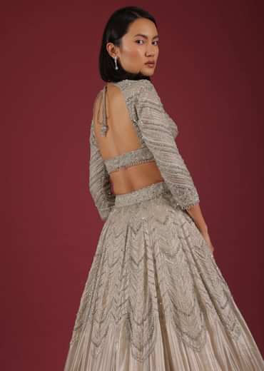 Oyster Organza Lehenga With Cut Dana Embroidery, Crop Top Comes In 3/4Th Sleeves With A Deep V Neckline