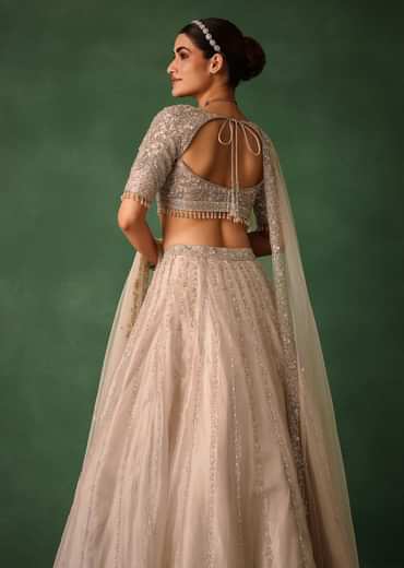 Oyster Pink Hand Embroidered Organza Lehenga Set