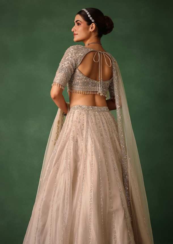 Oyster Pink Hand Embroidered Organza Lehenga Set