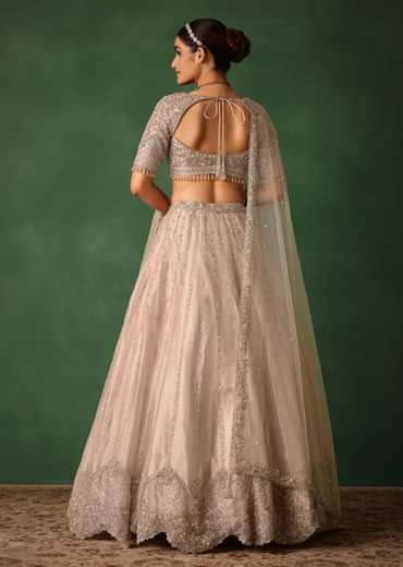 Oyster Pink Hand Embroidered Organza Lehenga Set