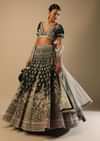 Palace Green Lehenga Choli In Velvet With Short Puff Sleeves And Multi Colored Hand Embroidery In Floral And Geometric Motifs