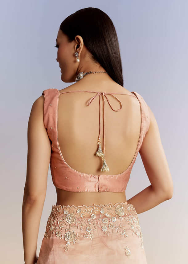 Peach Tissue Saree With Floral Moti And Cutdana Embroidery