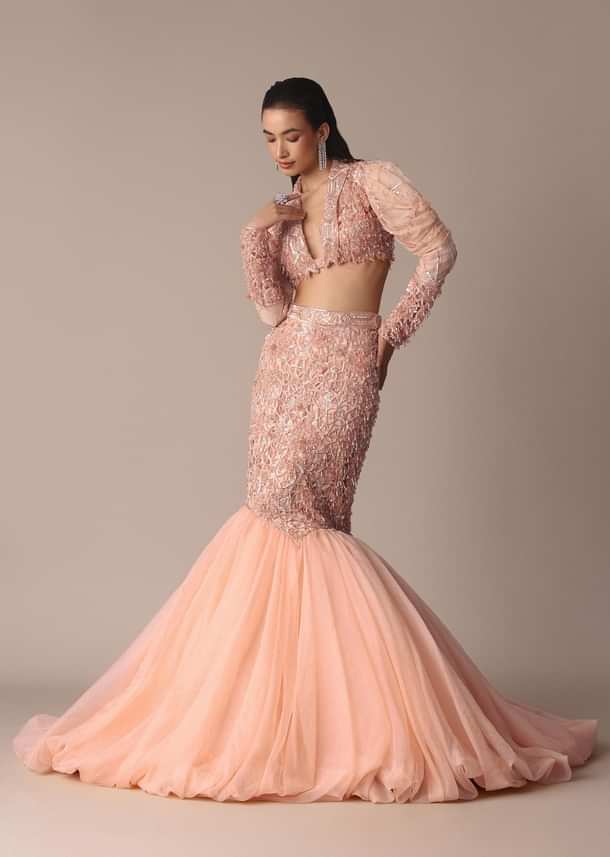 Peach Zardosi Fishcut Skirt With Embroidered Short Sleeve Jacket