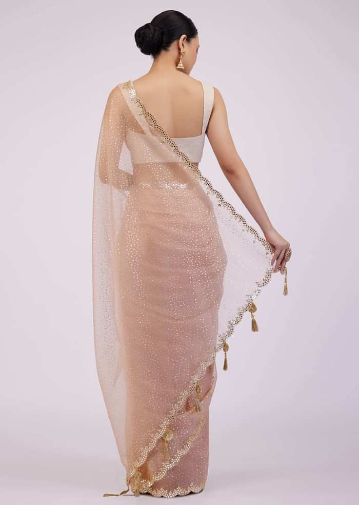 Powder Pink Saree In Organza With Foil Print And Embroidery