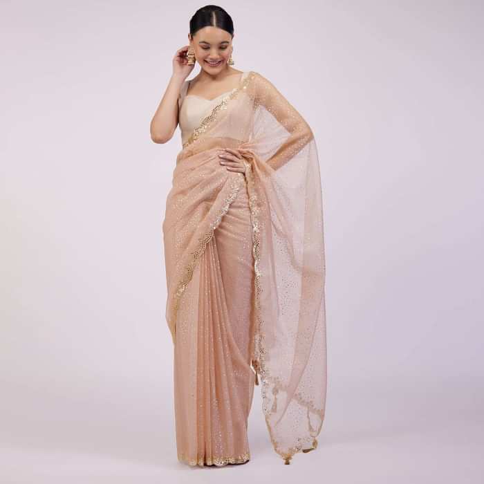Powder Pink Saree In Organza With Foil Print And Embroidery