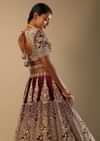 Persian Red Lehenga Choli In Velvet With Mughal Jaali And Floral Hand Embroidered Kali