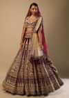 Persian Red Lehenga Choli In Velvet With Mughal Jaali And Floral Hand Embroidered Kali