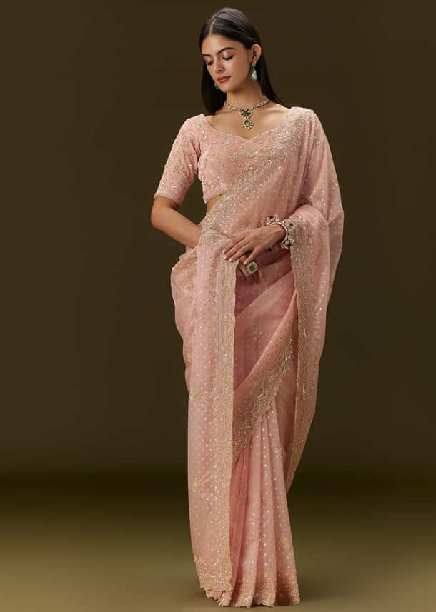 Pink Banarasi Tissue Saree With Velvet Embroidered Blouse