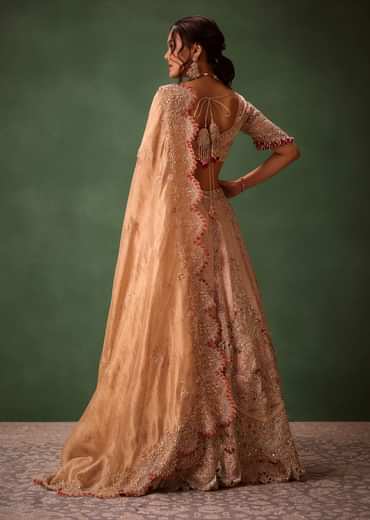 Pink Brocade Velvet Lehenga Choli With Two Scallop Dupattas