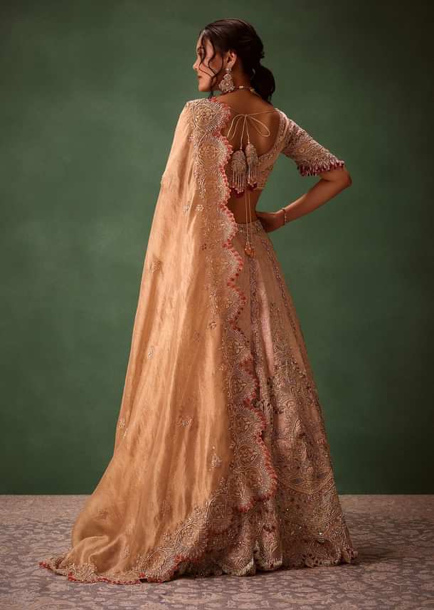 Pink Brocade Velvet Lehenga Choli With Two Scallop Dupattas