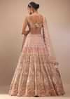 Pink Lehenga And Sleeveless Crop Top Set With A Corset Neckline In Zardozi Embroidery