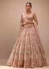 Pink Lehenga And Sleeveless Crop Top Set With A Corset Neckline In Zardozi Embroidery