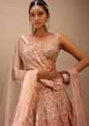 Pink Lehenga And Sleeveless Crop Top Set With A Corset Neckline In Zardozi Embroidery