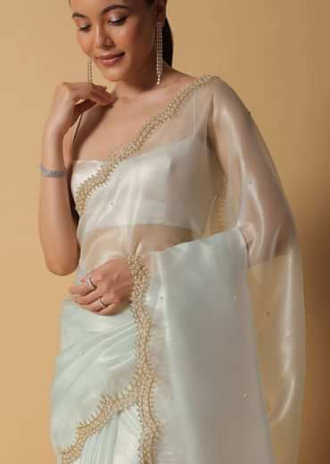 Pista Green Foil Saree In Tissue With Cut Dana Embroidered Borders