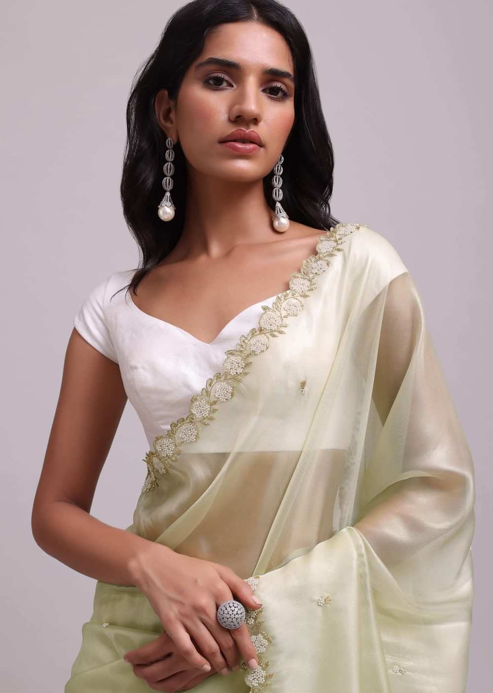 Powder Green Foil Saree In Tissue With Embroidered Borders