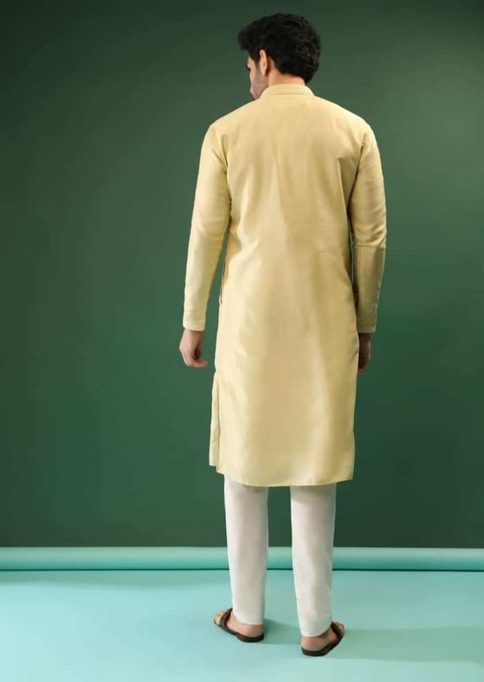 Powder Lime Kurta Set In Silk With Lucknowi Thread Embroidered Floral Jaal Online - Kalki Fashion