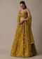 Radiant Mustard Yellow Organza Lehenga Set