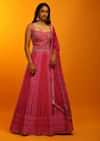 Rani Pink And Red Panel Anarkali Suit With Lucknowi Thread Embroidered Ethnic Kalis And Bandhani Dupatta
