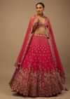 Rani Pink Lehenga Choli In Raw Silk With A Cluster Of Multi Colored Resham Flowers And Cut Dana Highlights