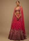 Rani Pink Lehenga Choli In Raw Silk With A Cluster Of Multi Colored Resham Flowers And Cut Dana Highlights