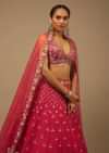Rani Pink Lehenga Choli In Raw Silk With A Cluster Of Multi Colored Resham Flowers And Cut Dana Highlights