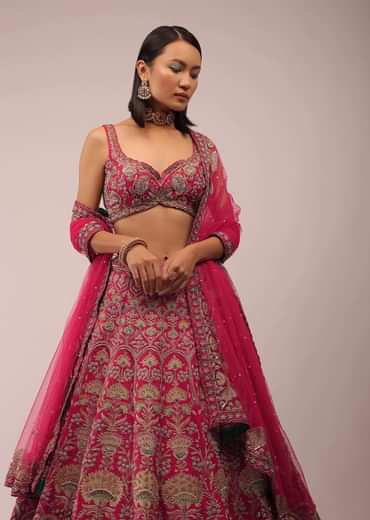 Rani Pink Lehenga In Golden Zari Work Embroidery Inspired By Mughal Architecture With Matching Net Dupatta In Embroidered Buttis