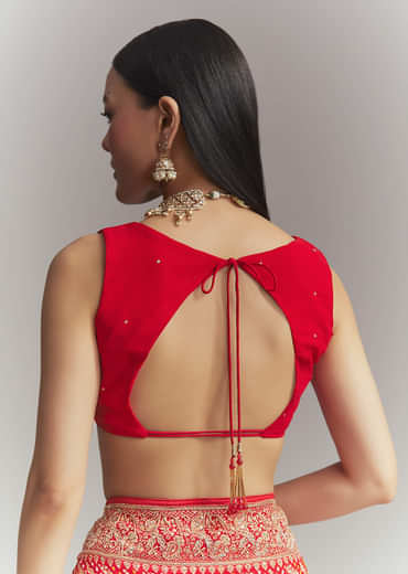 Red Banarasi Georgette Embroidered Saree With Heavy Hand Embroidery