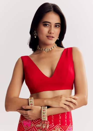 Red Dola Silk Bandhani Saree With Multicolor Animal Motifs And Gota Border