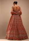 Red Lehenga With a Crop Top Embroidered With Royal Heritage