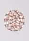 Rose Gold Plated Studs With Leaf Cut Crystals In Abstract Pattern Online - Kalki Fashion
