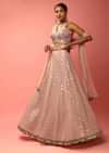 Rose Dust Lehenga Choli In Georgette With Sequins Embroidered Jaal And Mirror Border
