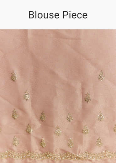 Rust Orange Tissue Saree With Zardosi Beads And Sequins Embroidery