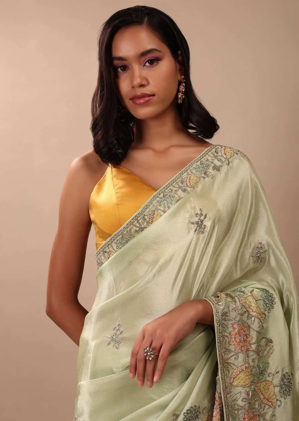Pista Green Saree In Glass Tissue With Floral Embroidery In Zardosi & Cut Dana