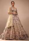 Light Pink Lehenga Choli With Multi Colored 3D Embroidered Kalis In Floral And Scallop Motifs
