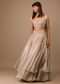 Oyster Organza Layered Skirt With Sleeveless Hand Embroidered Crop Top