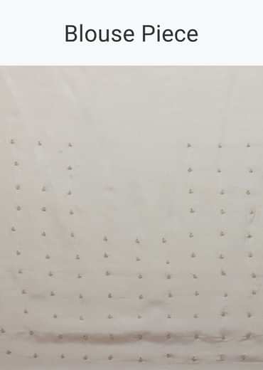 White Floral Printed Saree In Organza With Cut Dana Embroidery