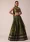 Green Handloom Lehenga Set With Sequin Embroidery